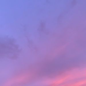 Meet your Posher, Annie